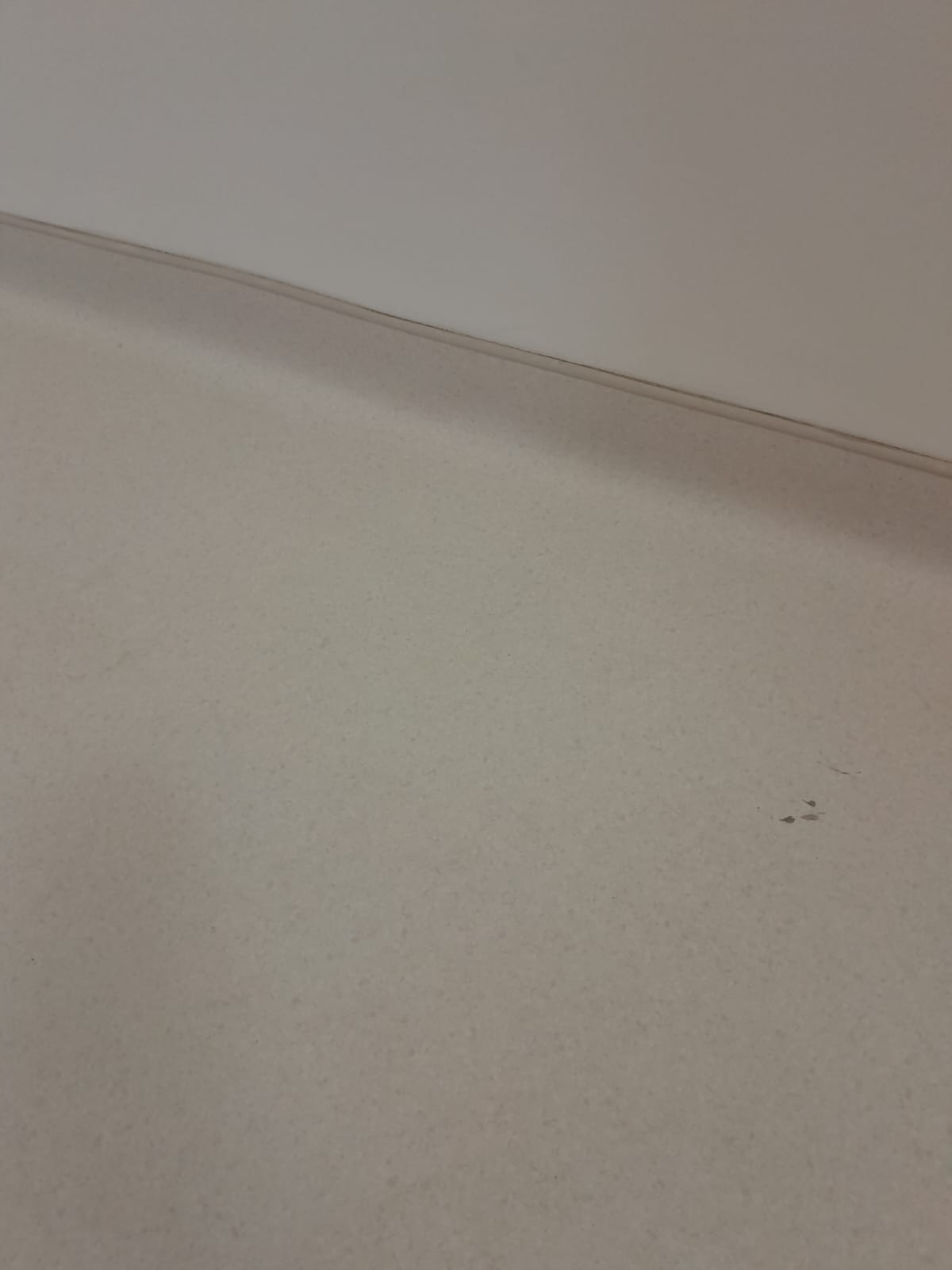 Rodapé hospitalar em manta Tarkett na FCEE